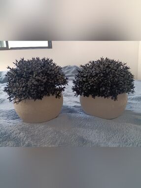 Set of Two Black Faux Topiary Plants in Cream Ceramic Pots